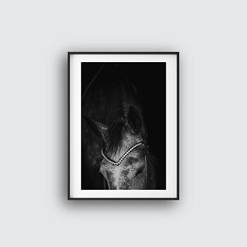 NYHET Not Standing Still Horse Poster