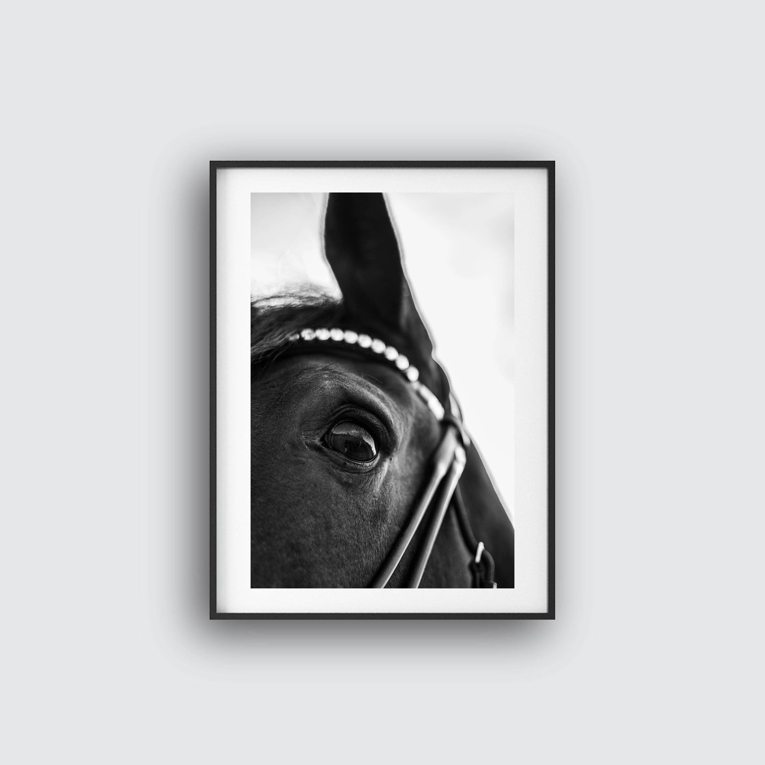 NYHET True Kindness Horse Poster