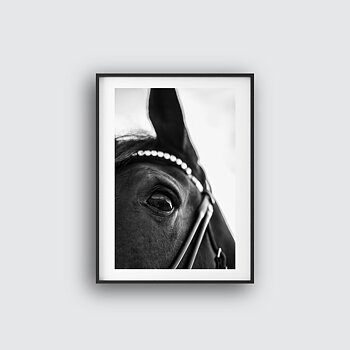 NYHET True Kindness Horse Poster
