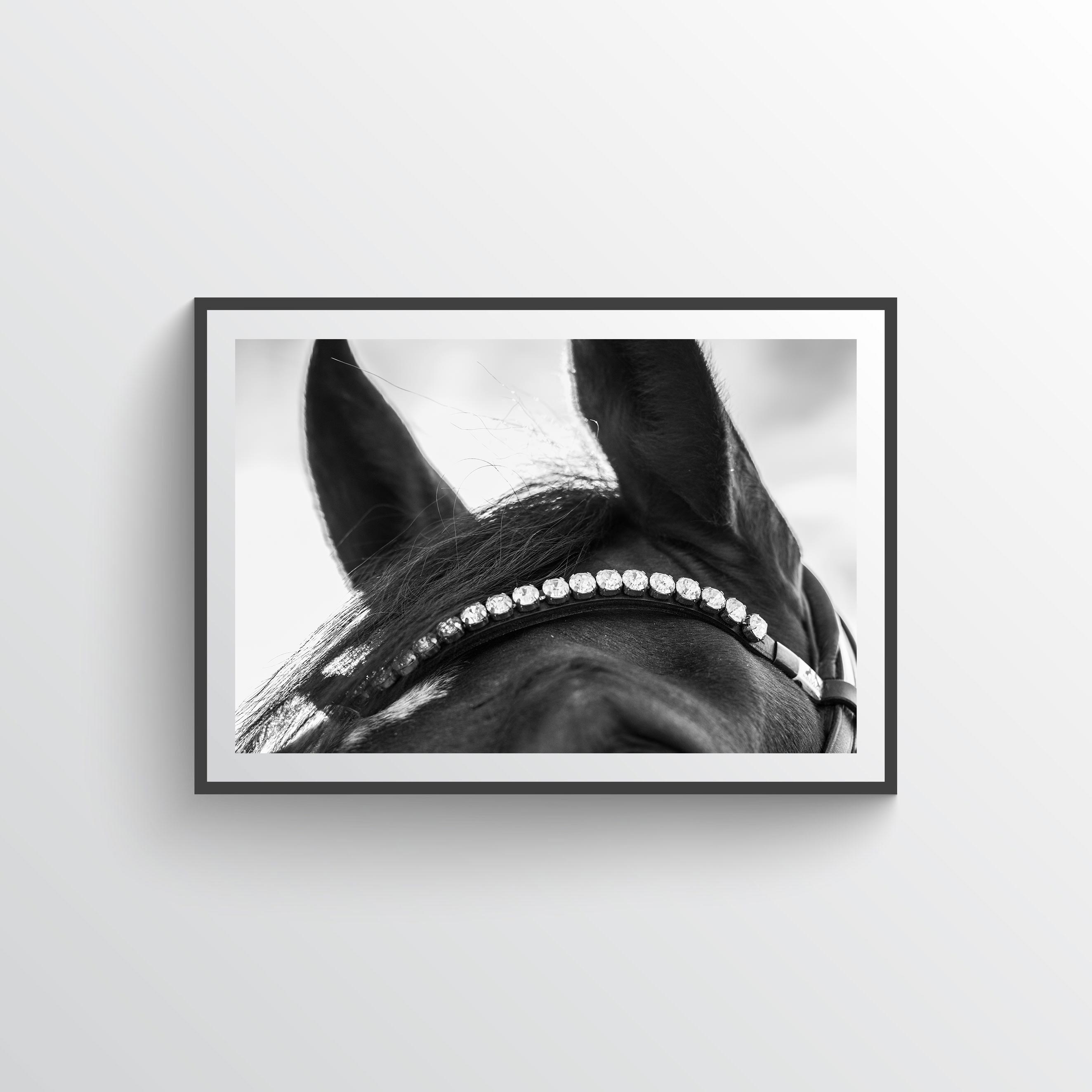 NYHET Seven Sparkles Horse Poster