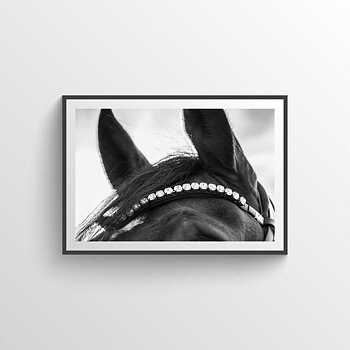 NYHET Seven Sparkles Horse Poster