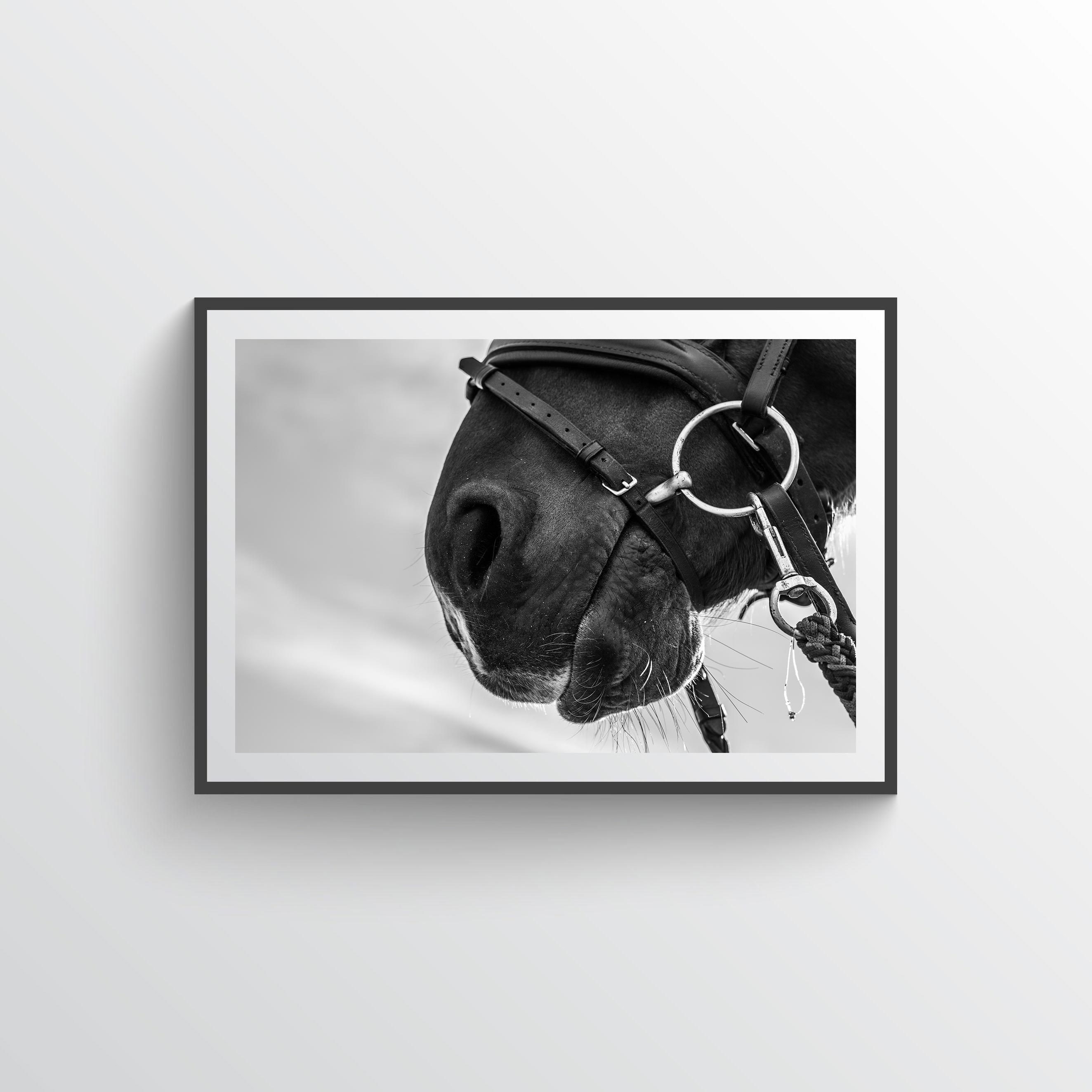 NYHET Hard Worker Horse Poster
