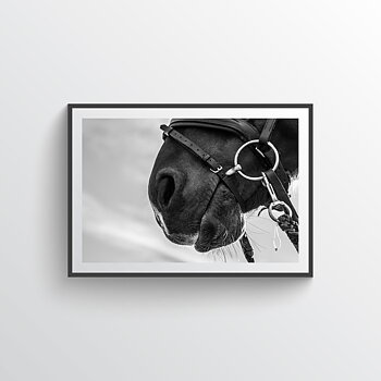 NYHET Hard Worker Horse Poster