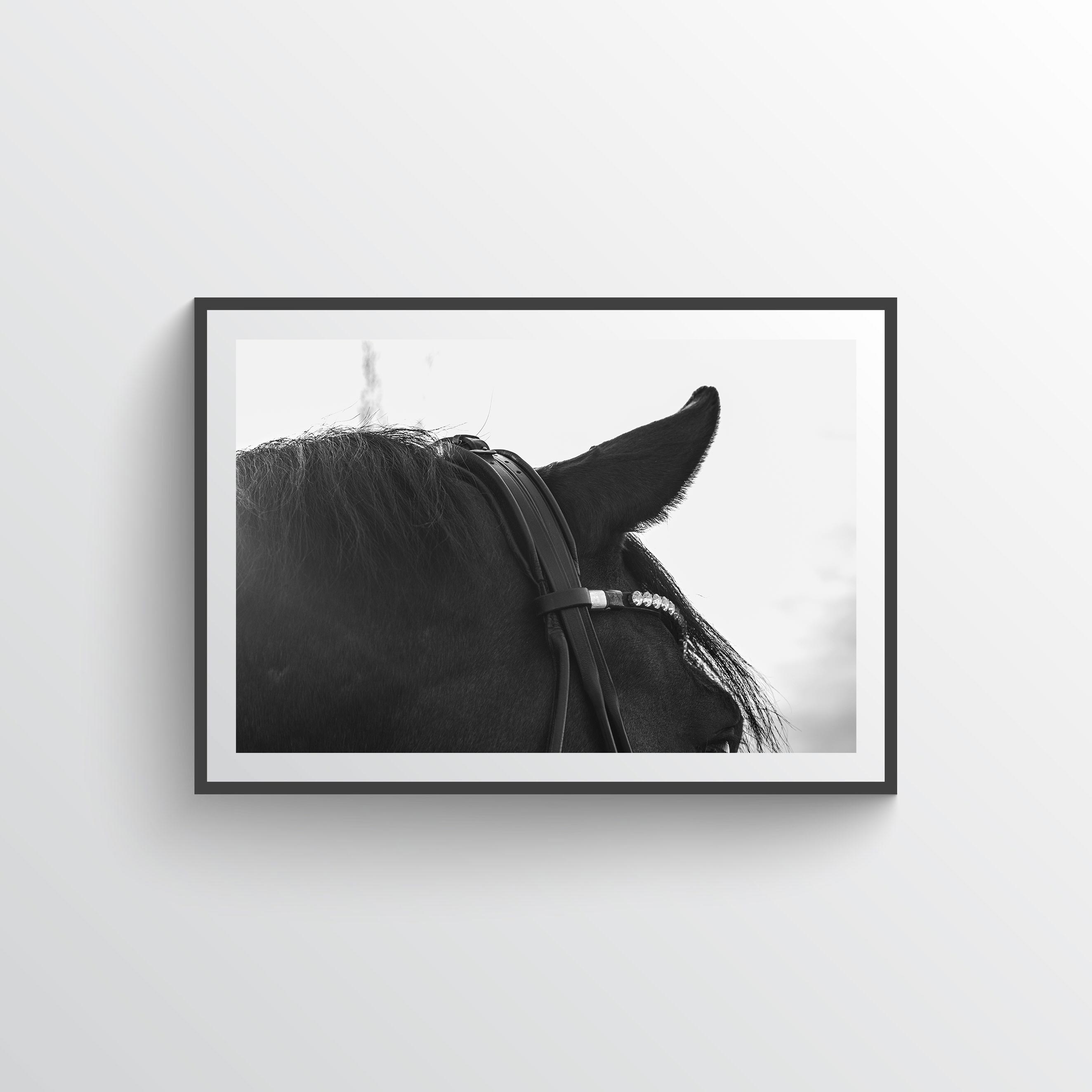  NYHET My Best Friend Horse Poster