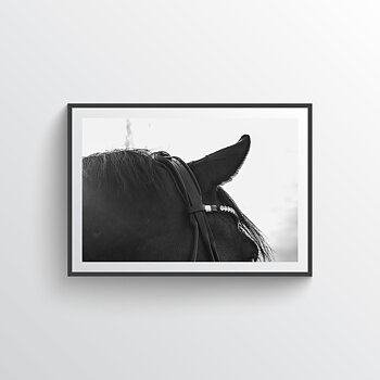  NYHET My Best Friend Horse Poster