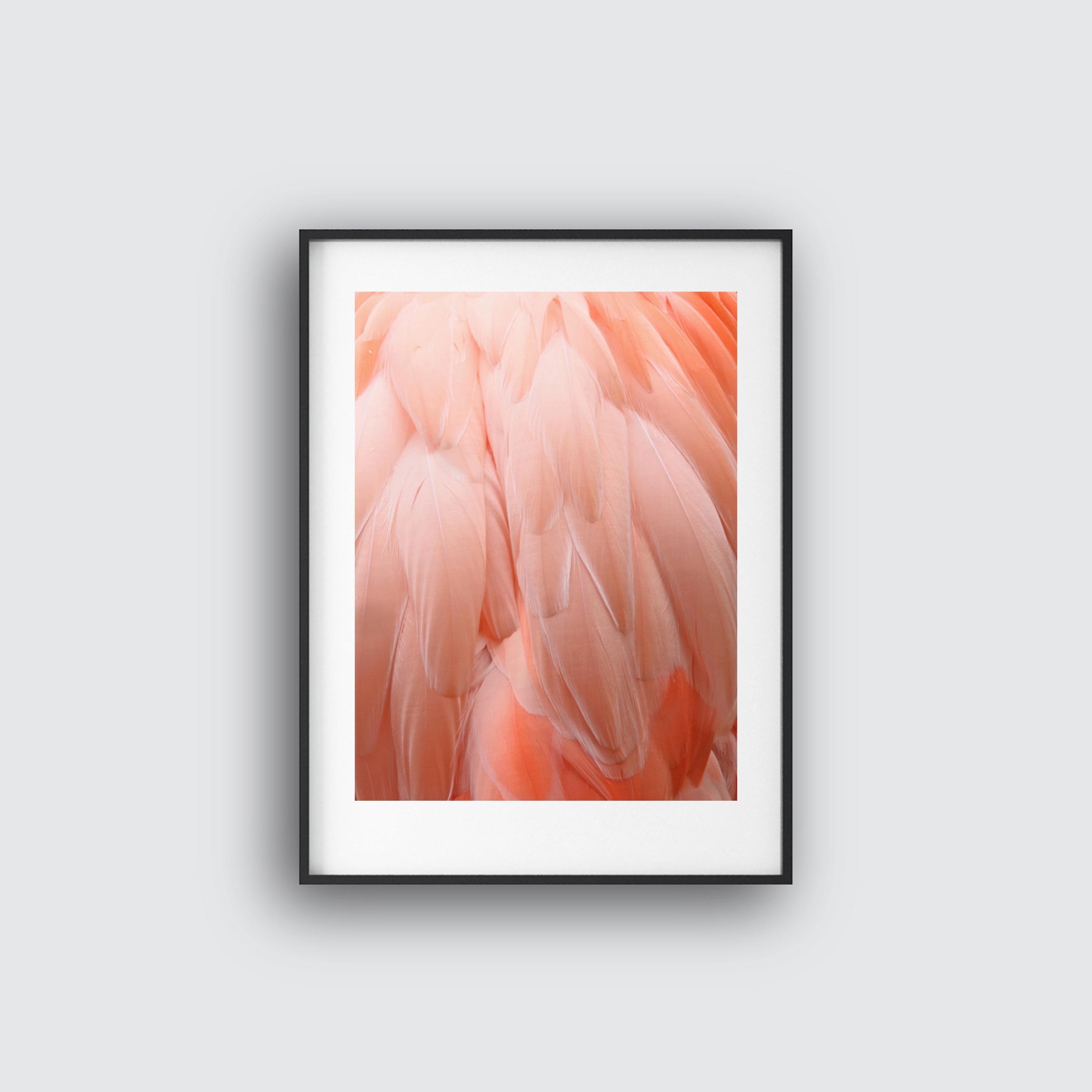 Pink dream No1 poster