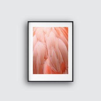 Pink dream No1 poster