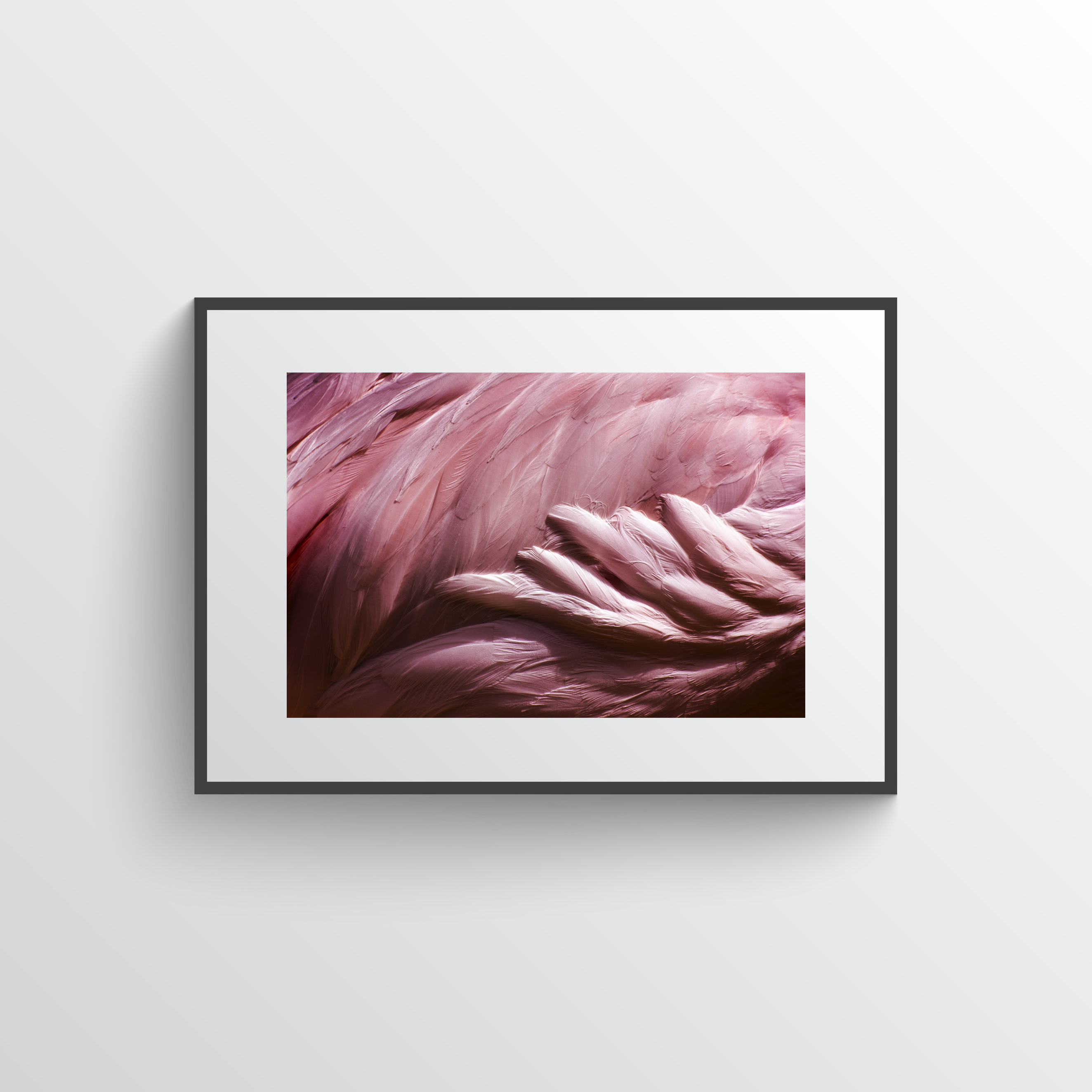 Pink dream No3 poster 