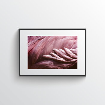 Pink dream No3 poster 
