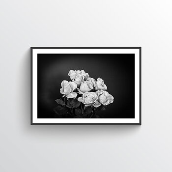 NYHET Roses Bloom Poster
