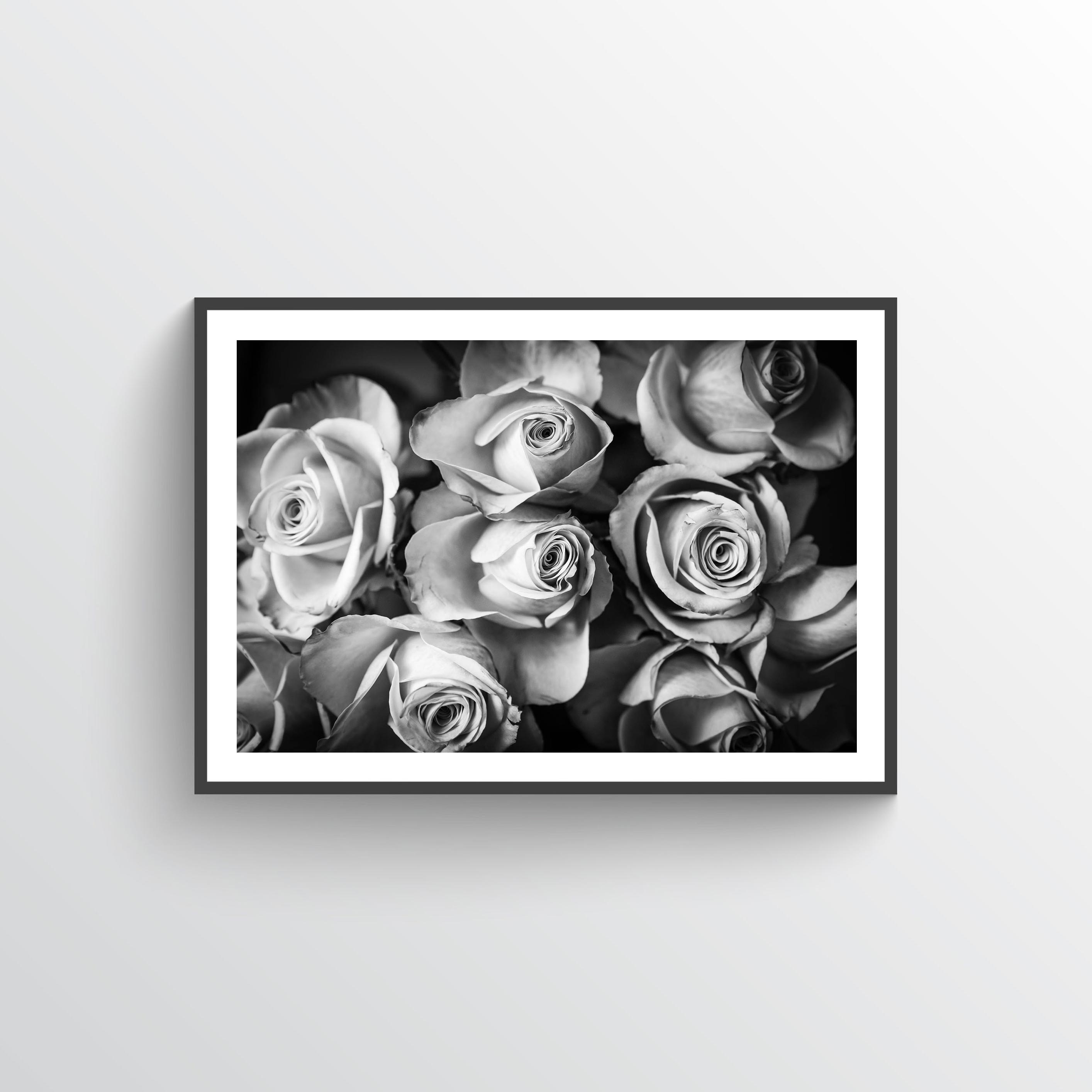 Roses Hope Poster