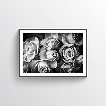 Roses Hope Poster