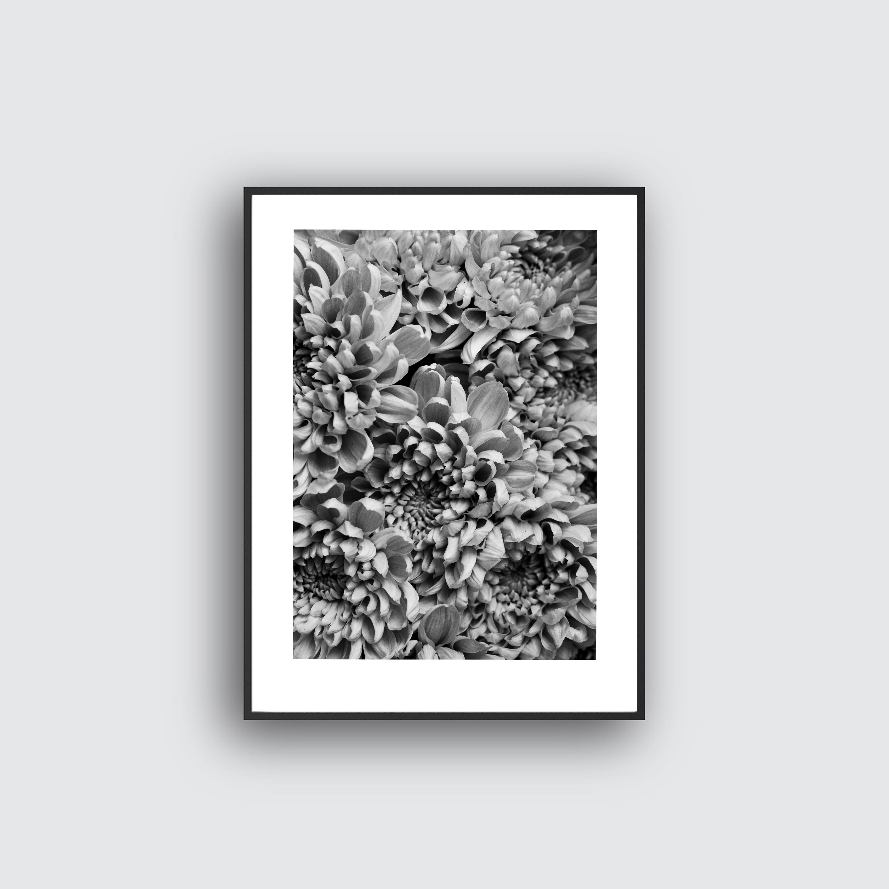 NYHET Flower Dream Poster