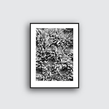 NYHET Flower Dream Poster