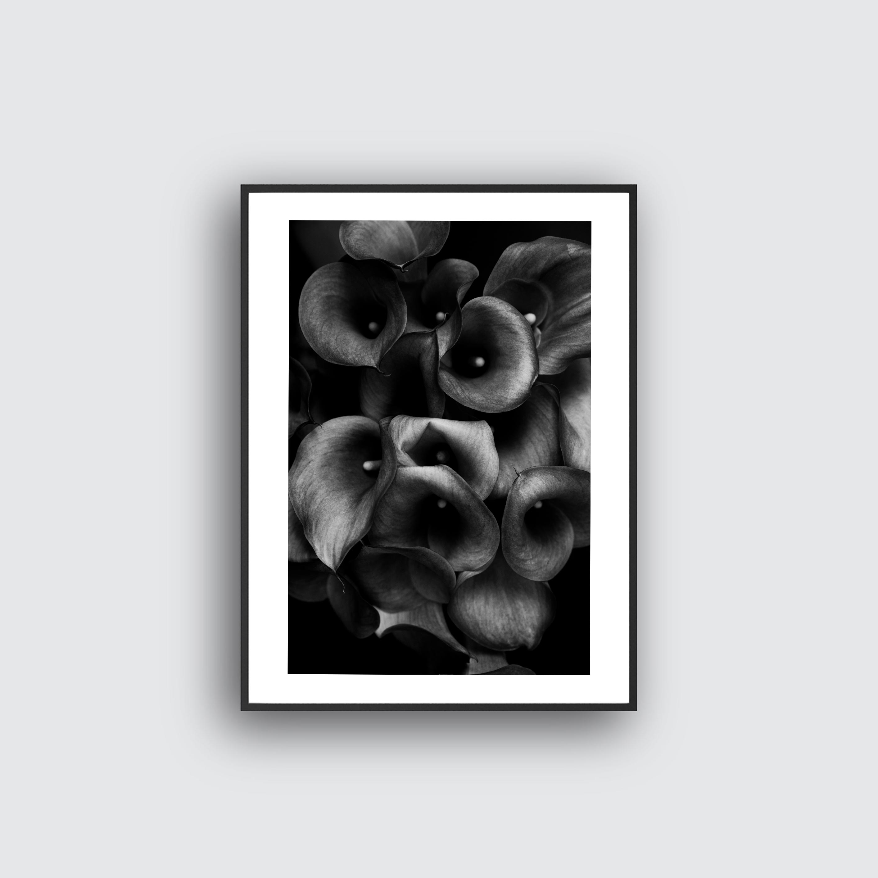 NYHET Calla Bloom Poster