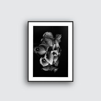 NYHET Calla Hope Poster