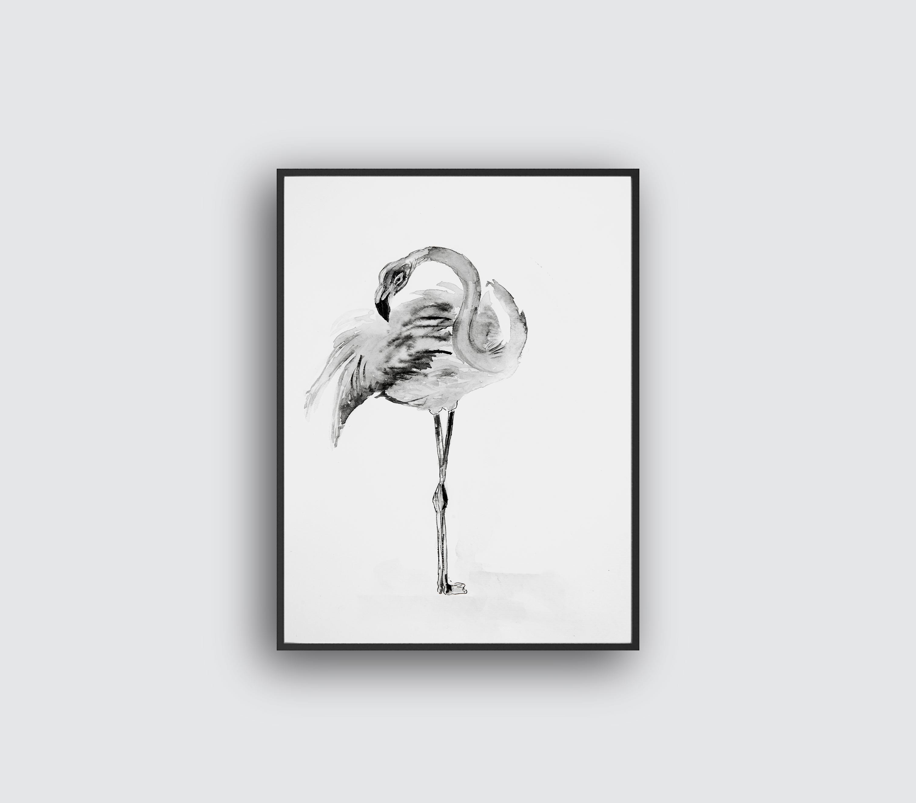 Flamingo Illustration
