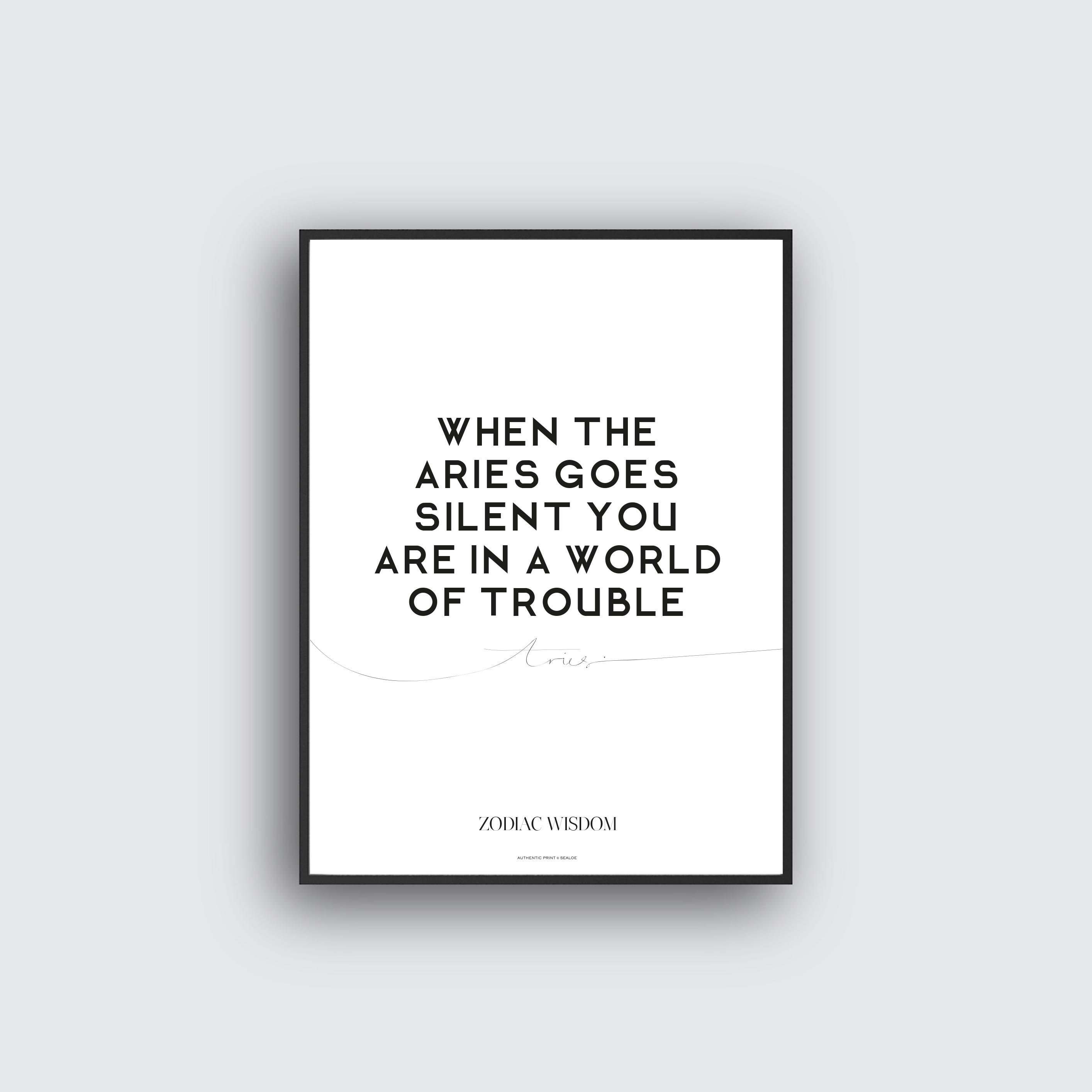 NYHET Aries Poster