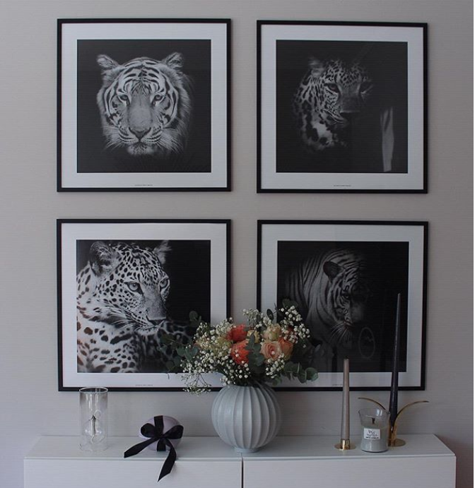 Leopard portrait two black & white - 2