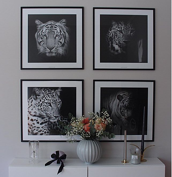Leopard portrait two black & white