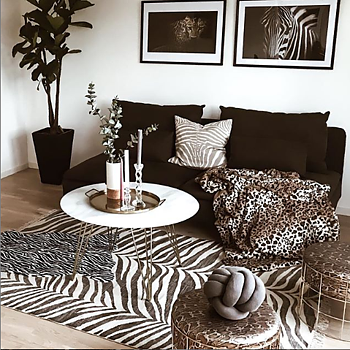 Zebra one photo