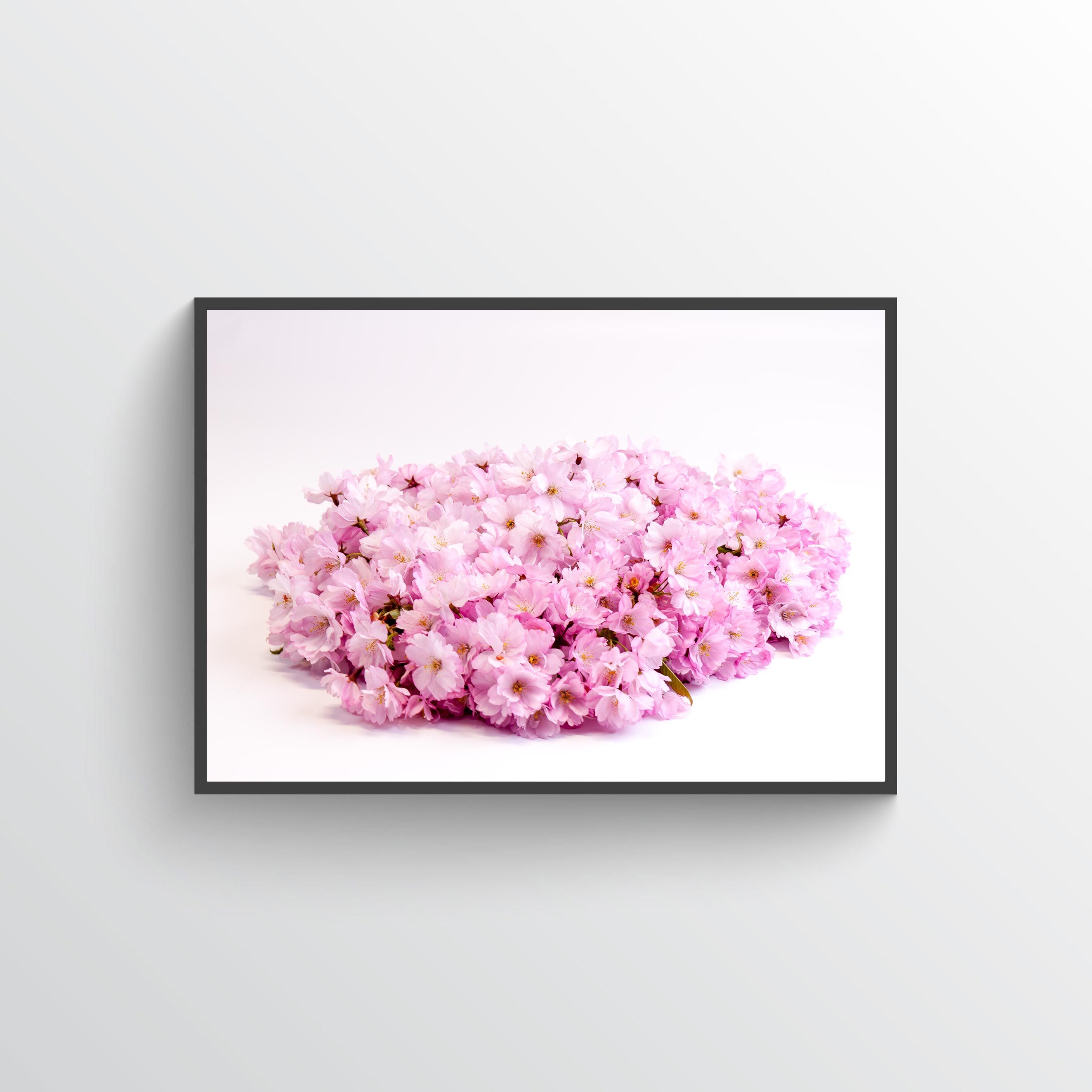 Cherry blossom No 1 poster