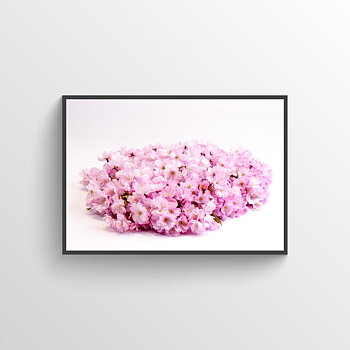 Cherry blossom No 1 poster
