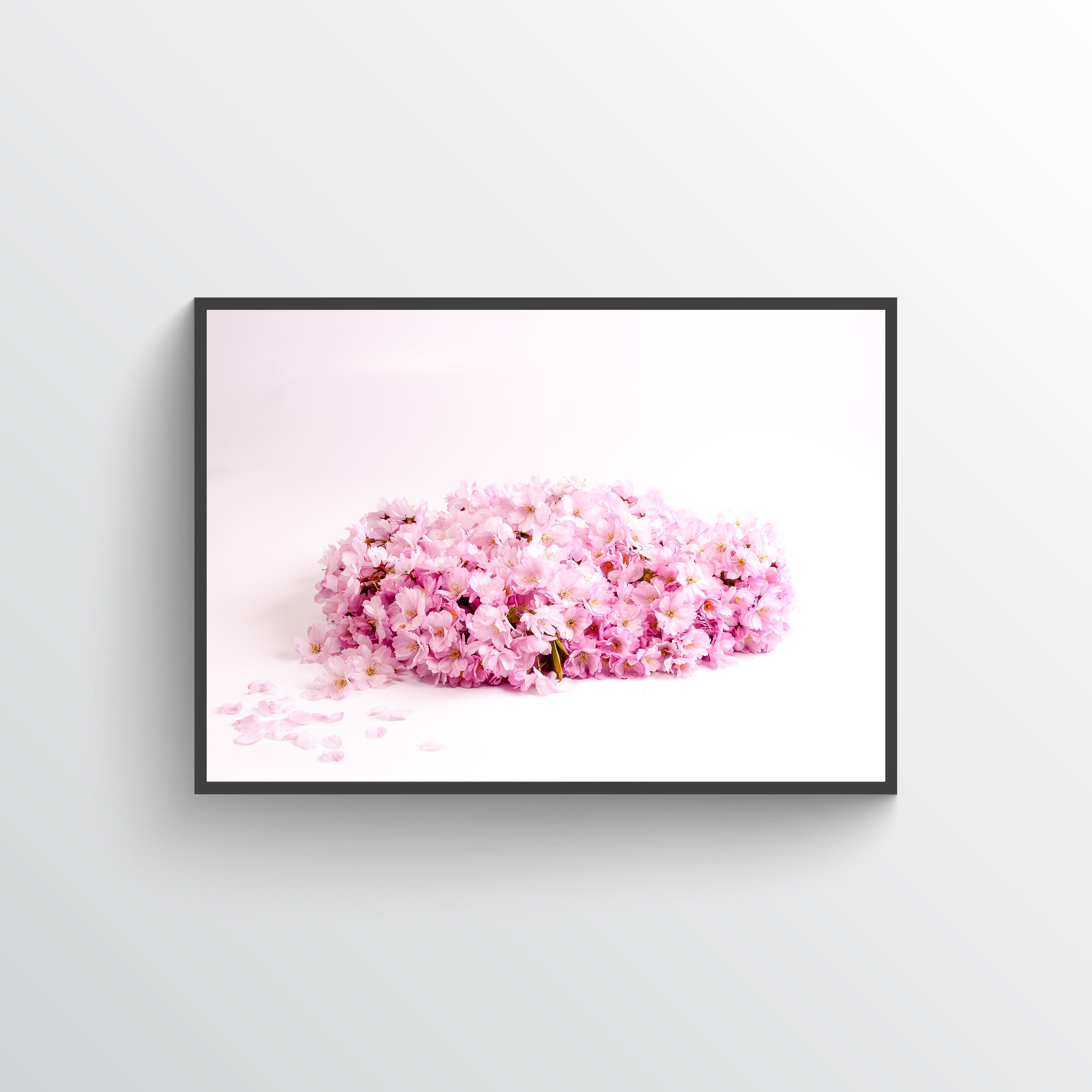 Cherry blossom No 2 poster