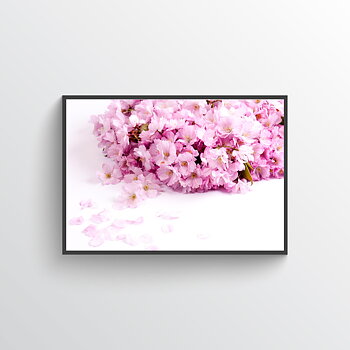Cherry blossom No 3 poster