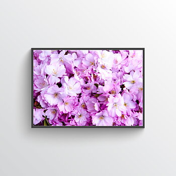Cherry blossom No 5 poster
