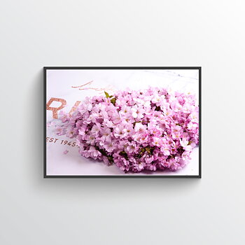 Cherry blossom No 6 poster