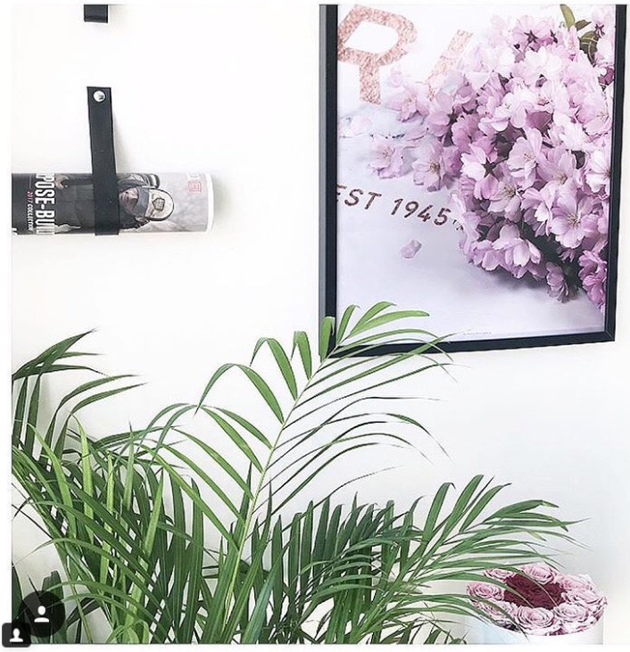 Cherry blossom No 14 poster - 4