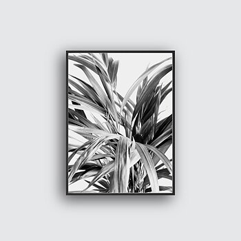 Palm poster