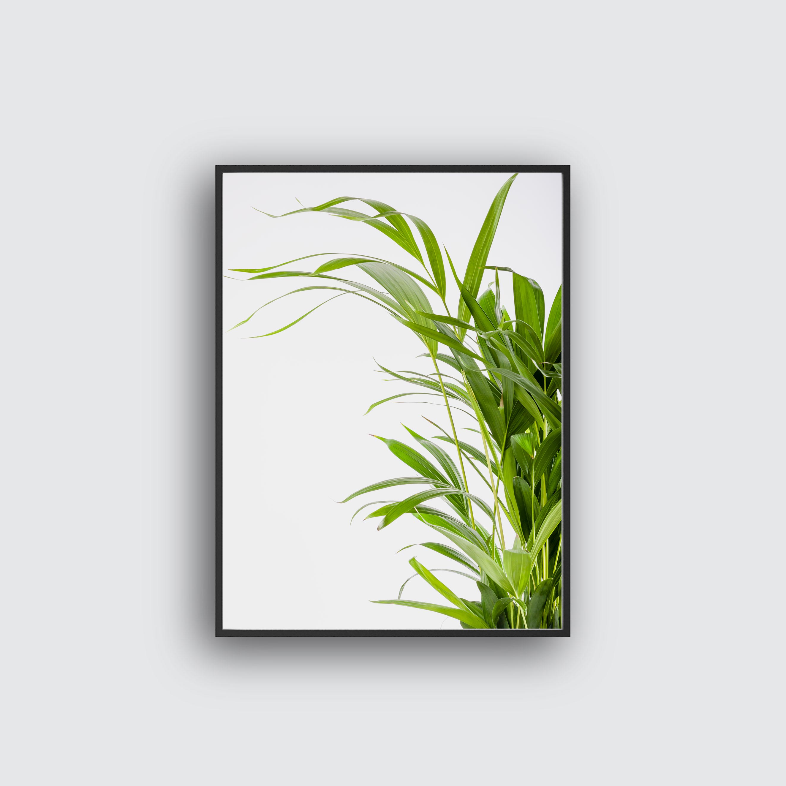 Palm two poster