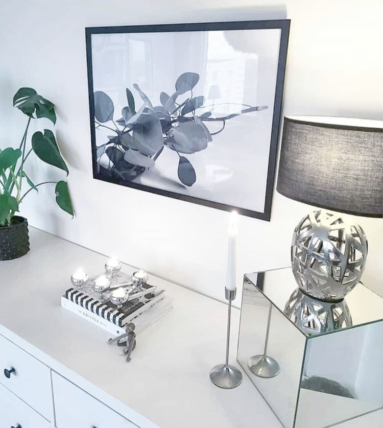 Eucalyptus poster - 2