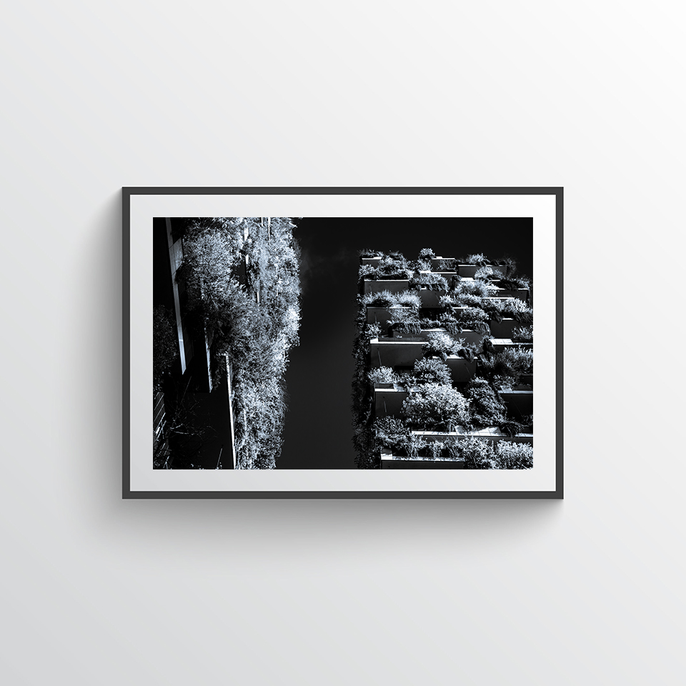 Bosco verticale one Poster