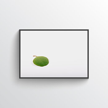 Eucalyptus two poster