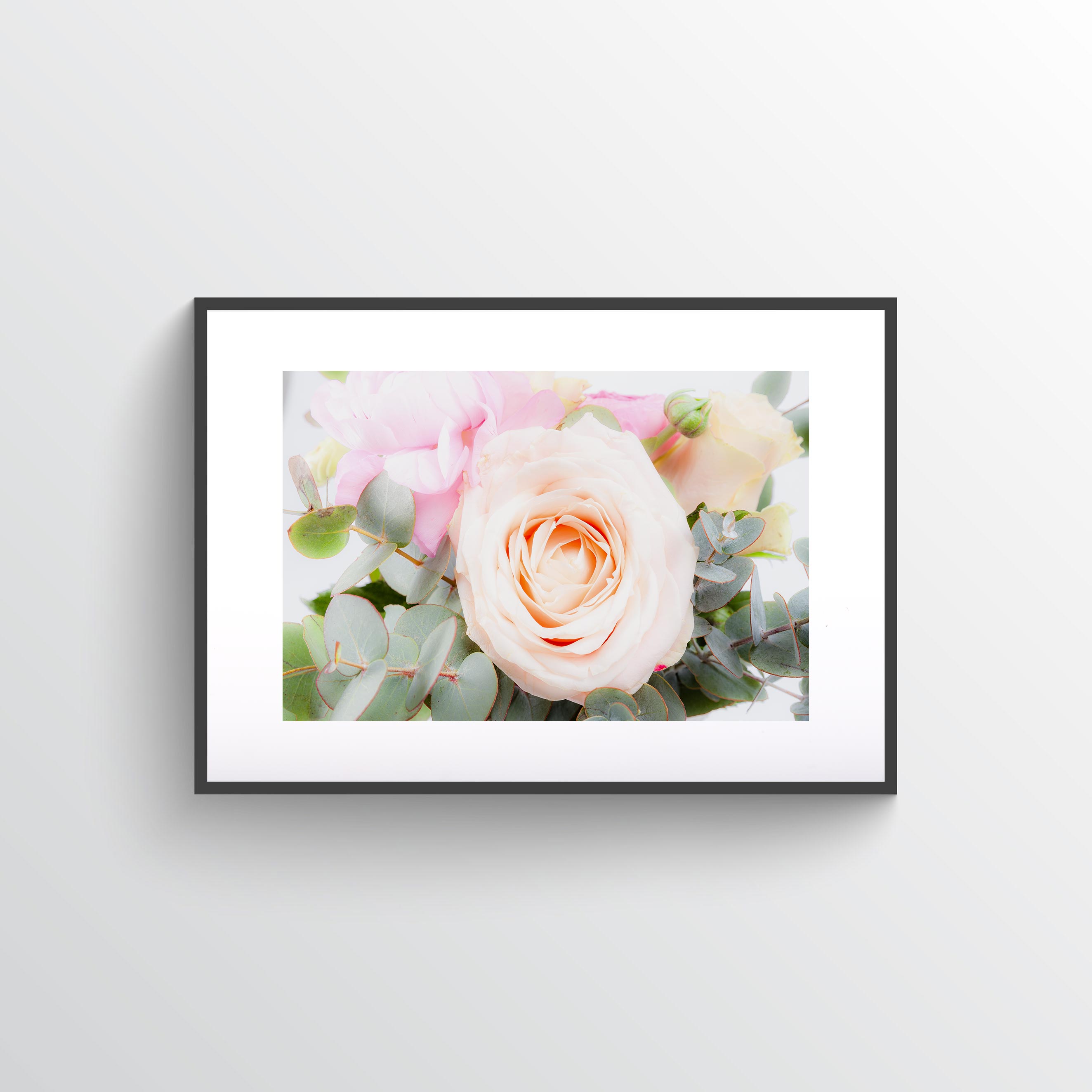 Ranunculus & roses poster