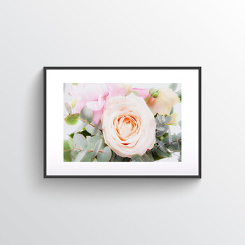 Ranunculus & roses poster