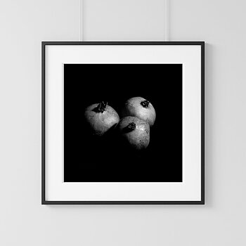 Pomegranate poster