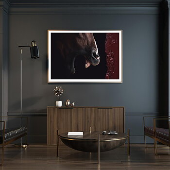King In The Stable Poster