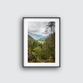 Ledro forest Poster