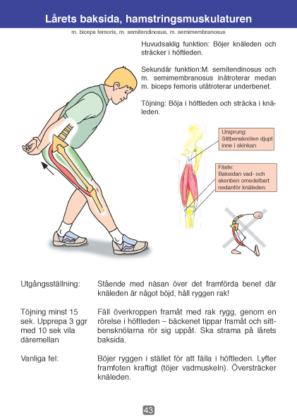 Bok: Stretching med Kvalité - 2