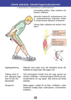 Bok: Stretching med Kvalité