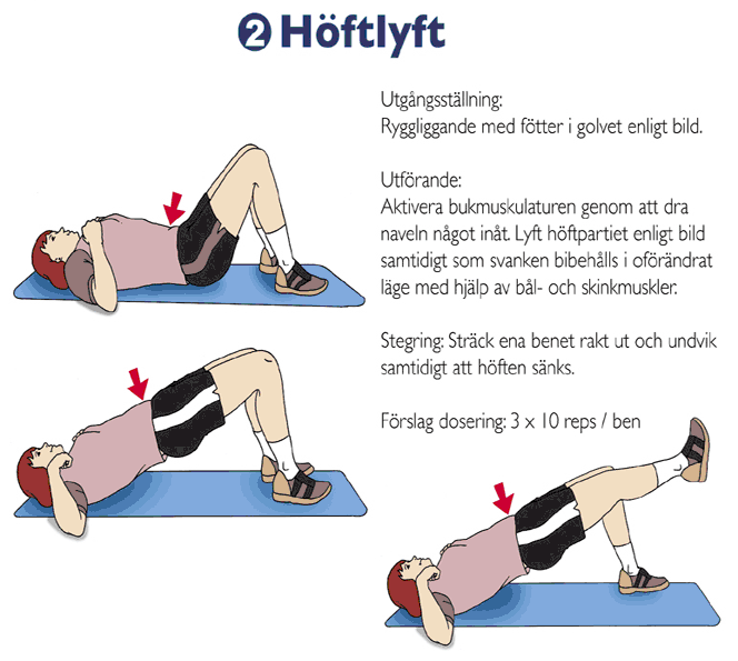 Bok: Bålstabilitet – från rehab till elitidrott - 2