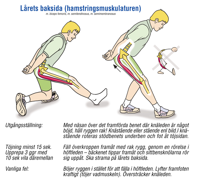 Planscher: Stretching 4 st - 2
