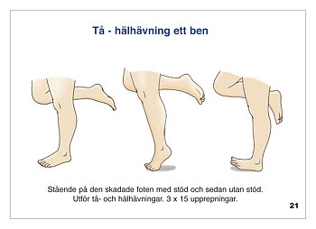 Häfte: Fotledsstukning