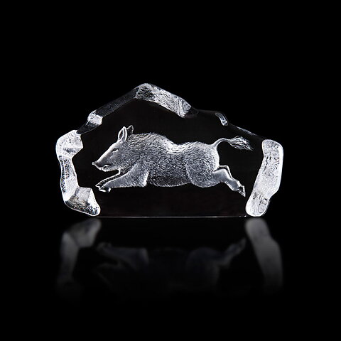 Wild Boar