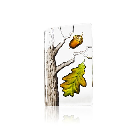 Oak (small)