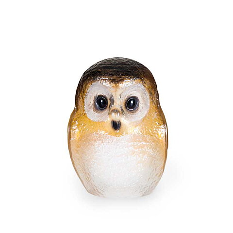 Owlet